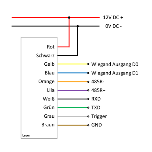 temptyp-xiWnrZR0COEXzGc