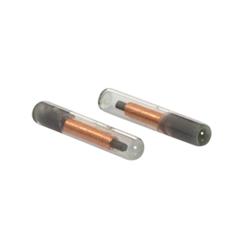 tempe675-158-uni-2QCihMSYPfaueN