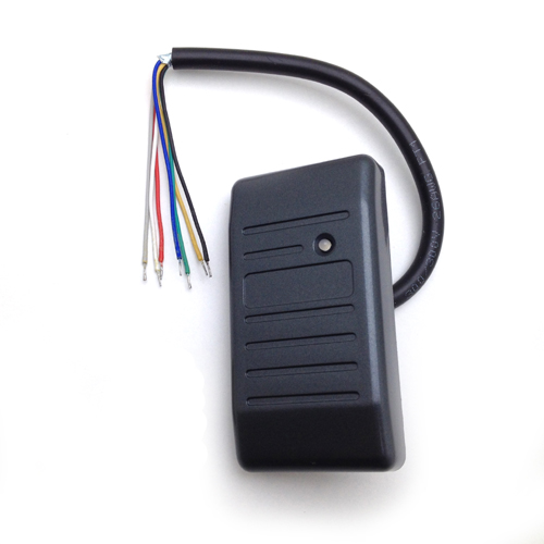 tempimg_2177-500qcOXgXy6qoY6h