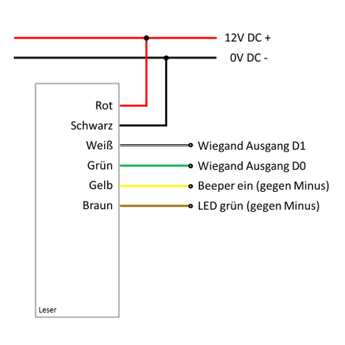 temptyp-vii2tluJi0gzavyn